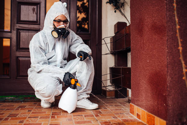 Reliable Wasp Removal contractor in Pewee Valley, KY by Show Me Pest Control